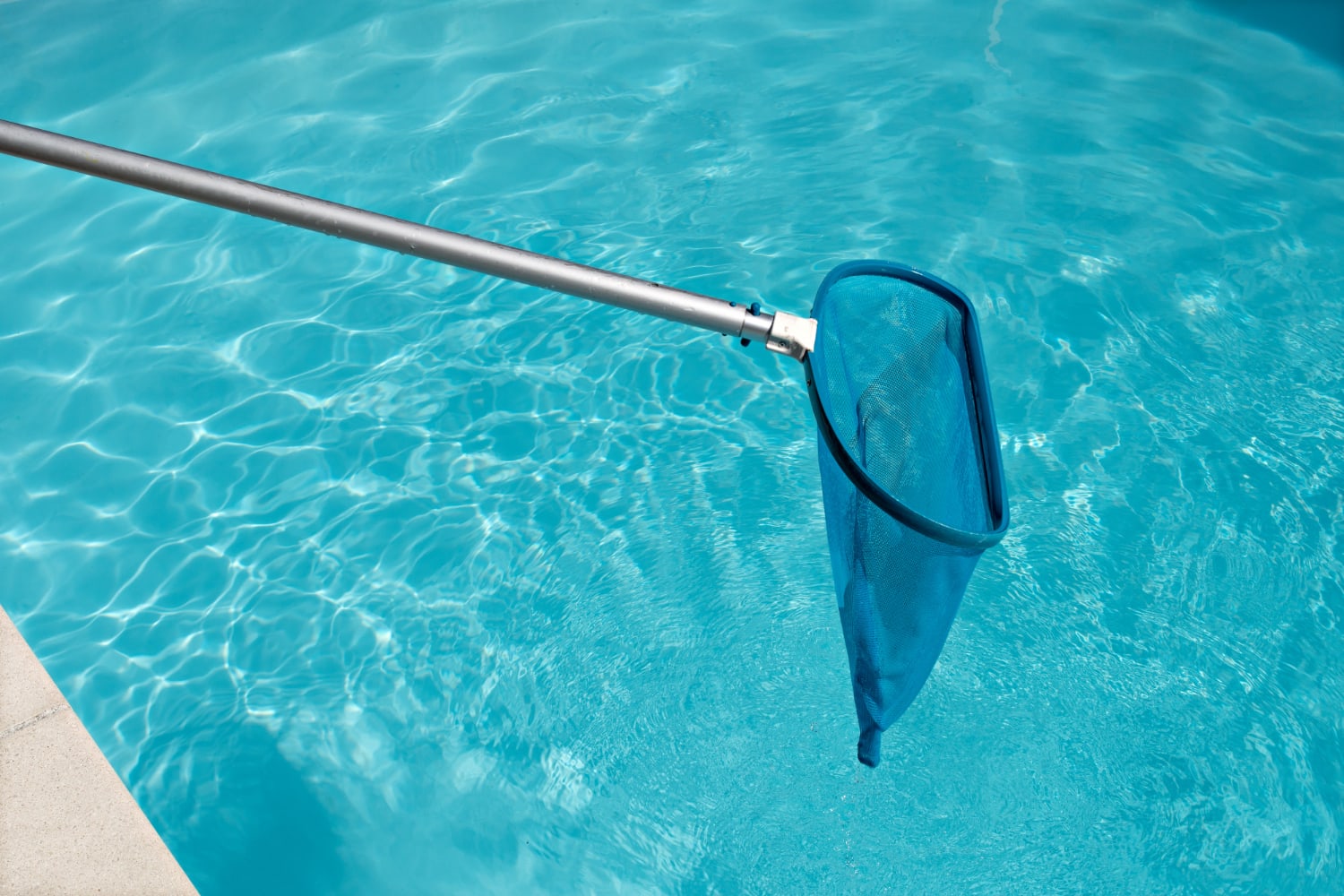 Someone netting a pool
