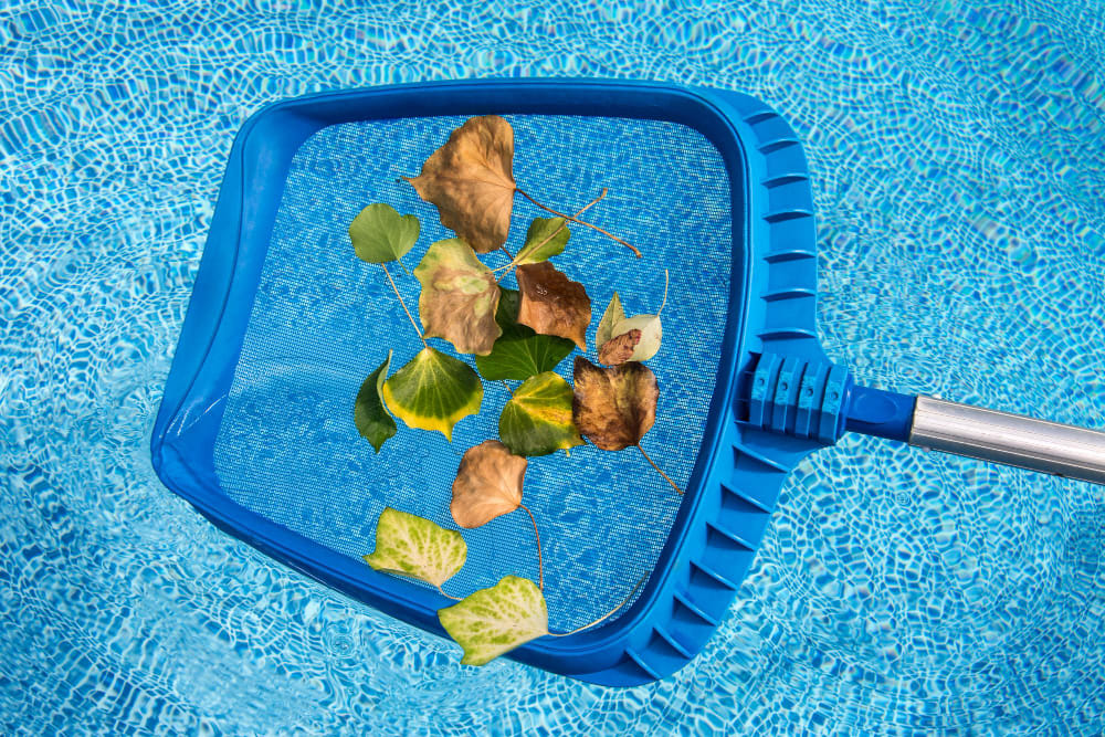 Pool maintenance service in Tamiami